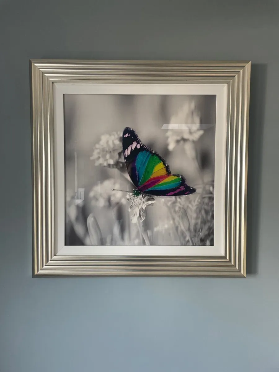 Framed Butterfly Picture - Large - Image 1
