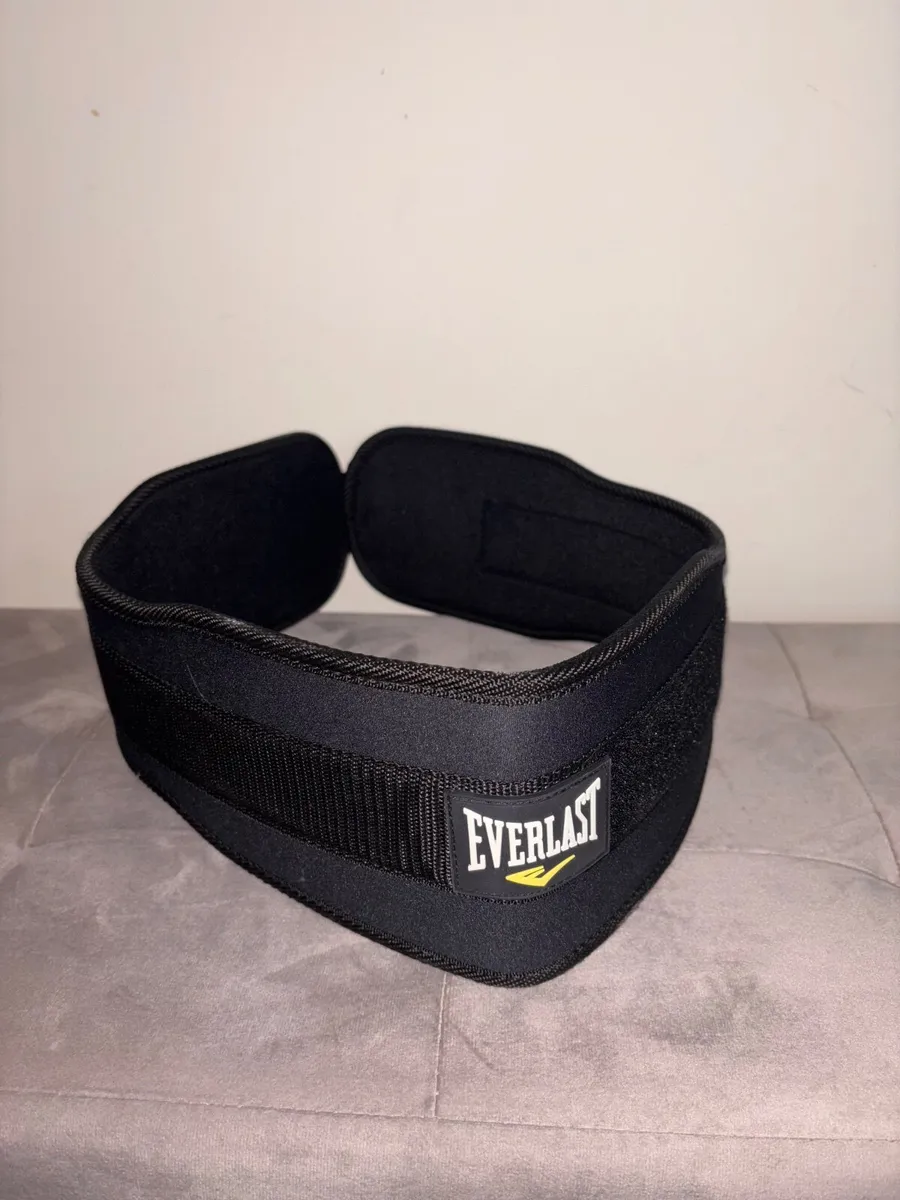 Everlast Back Support Weightlifting Belt