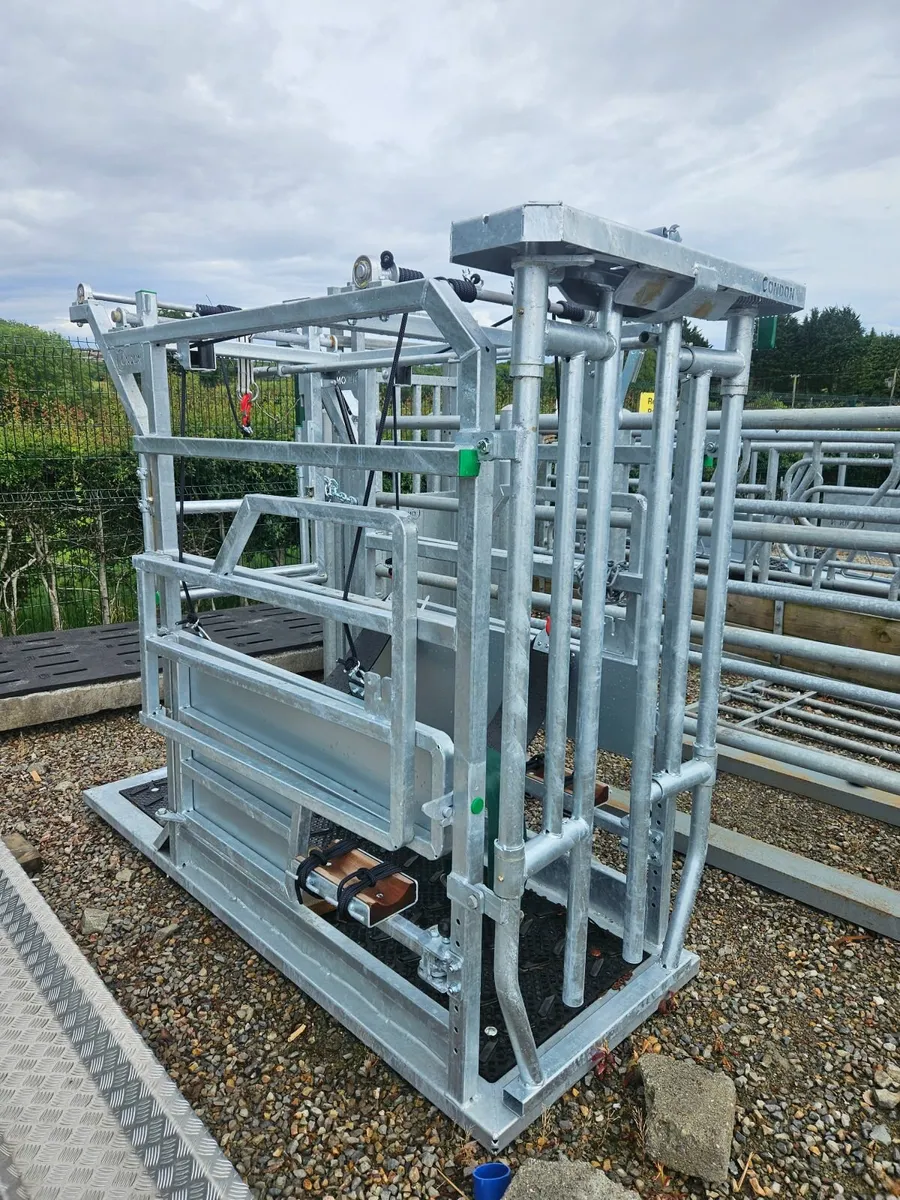 Hoof Crate - Image 3