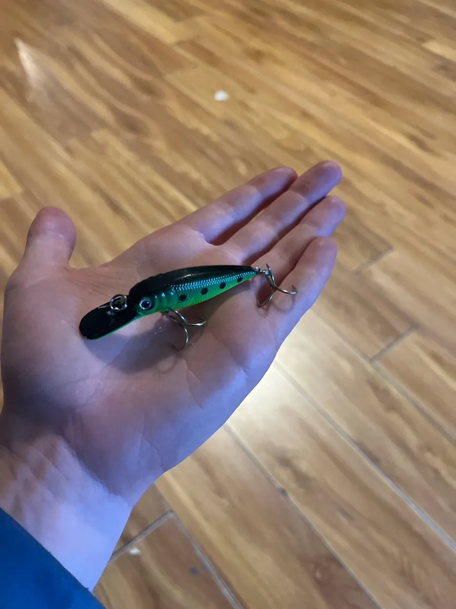 Fishing lure set C - Image 2