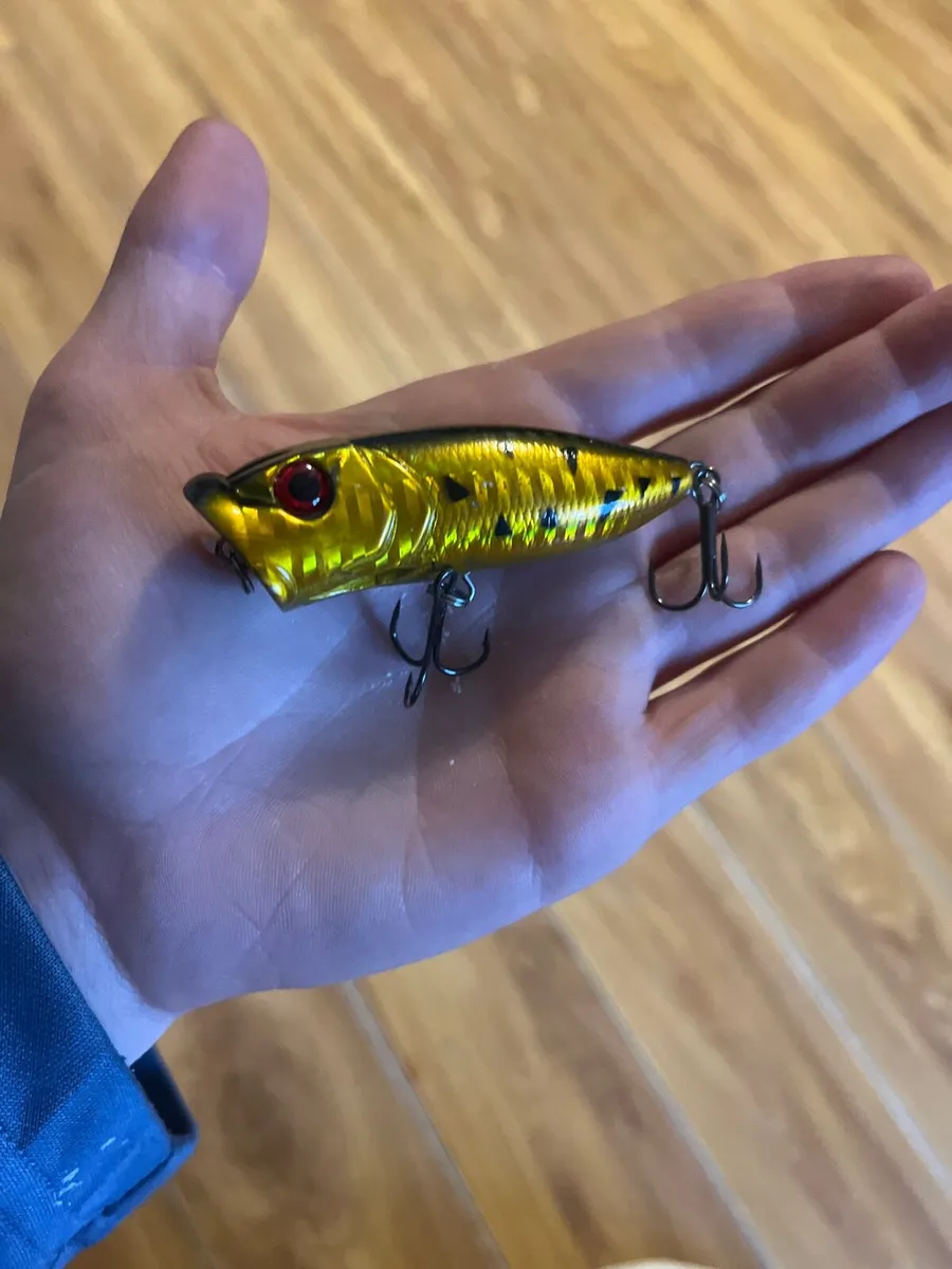 Fishing lure set C - Image 4