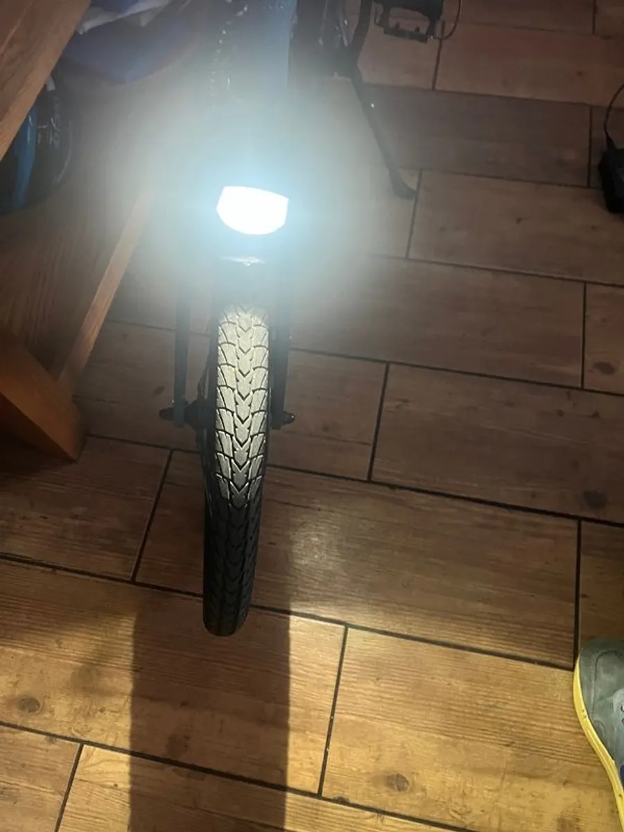 Electric bike - Image 1