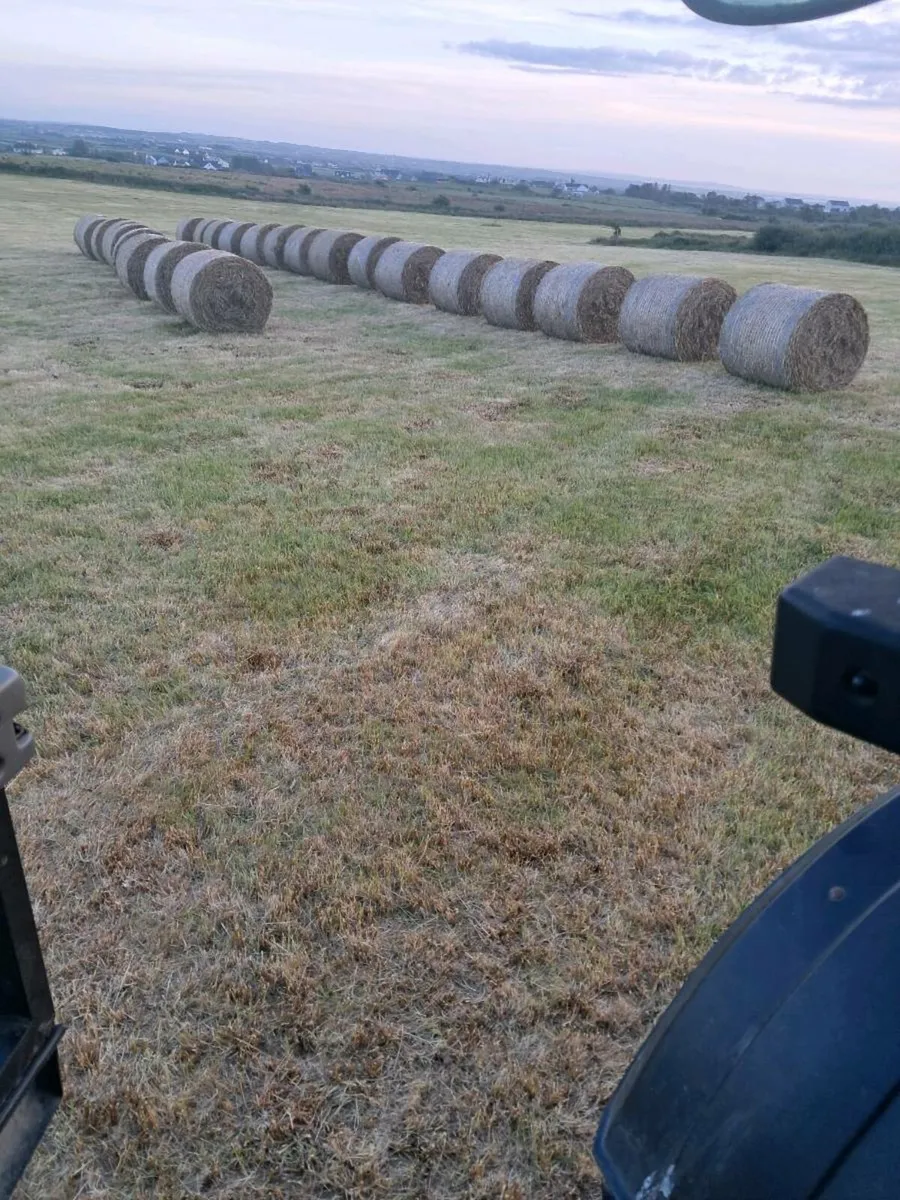 Hay and silage - Image 2