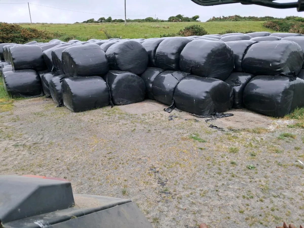 Hay and silage - Image 3