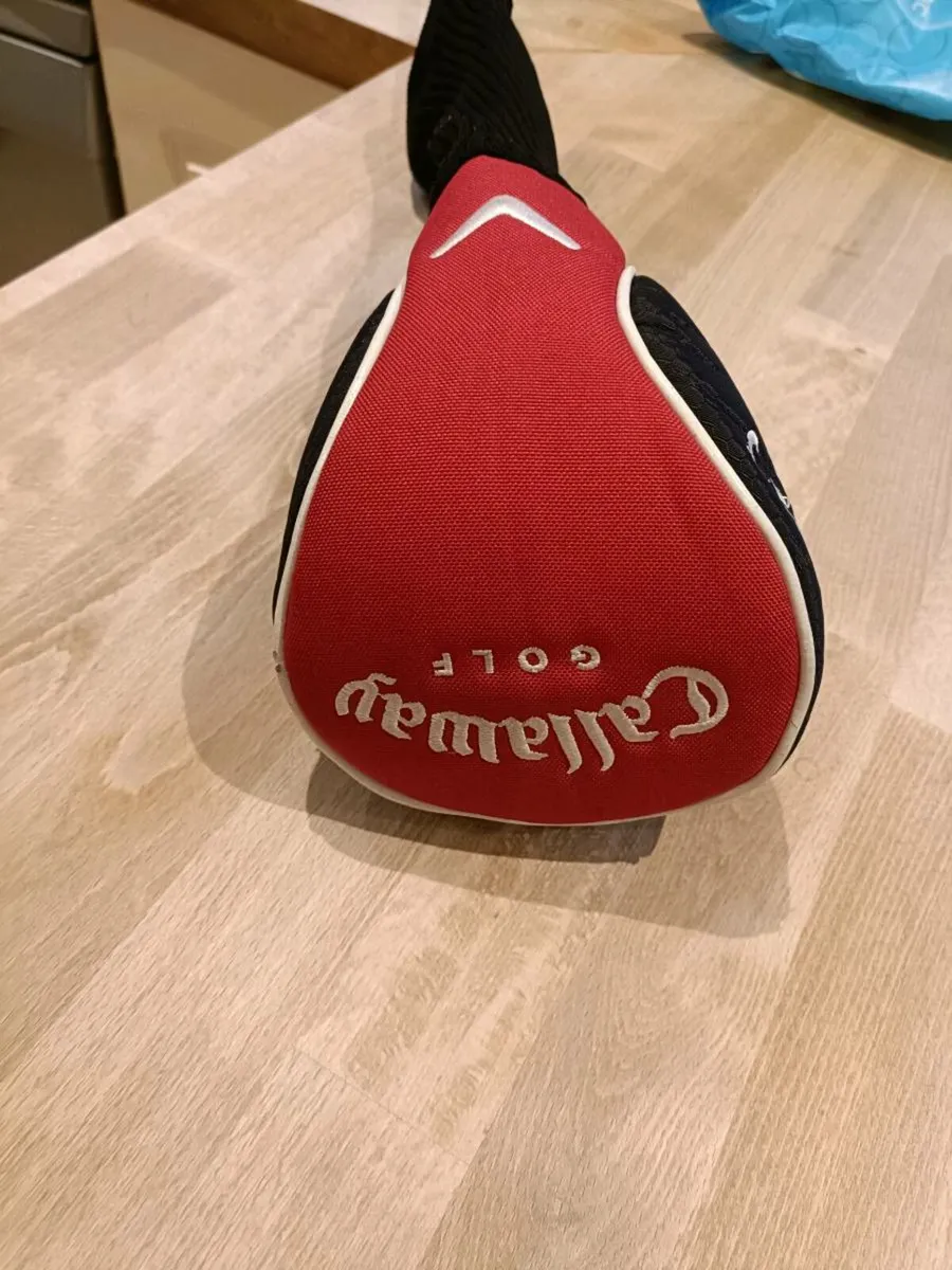 Big Bertha Driver 460 - Image 1