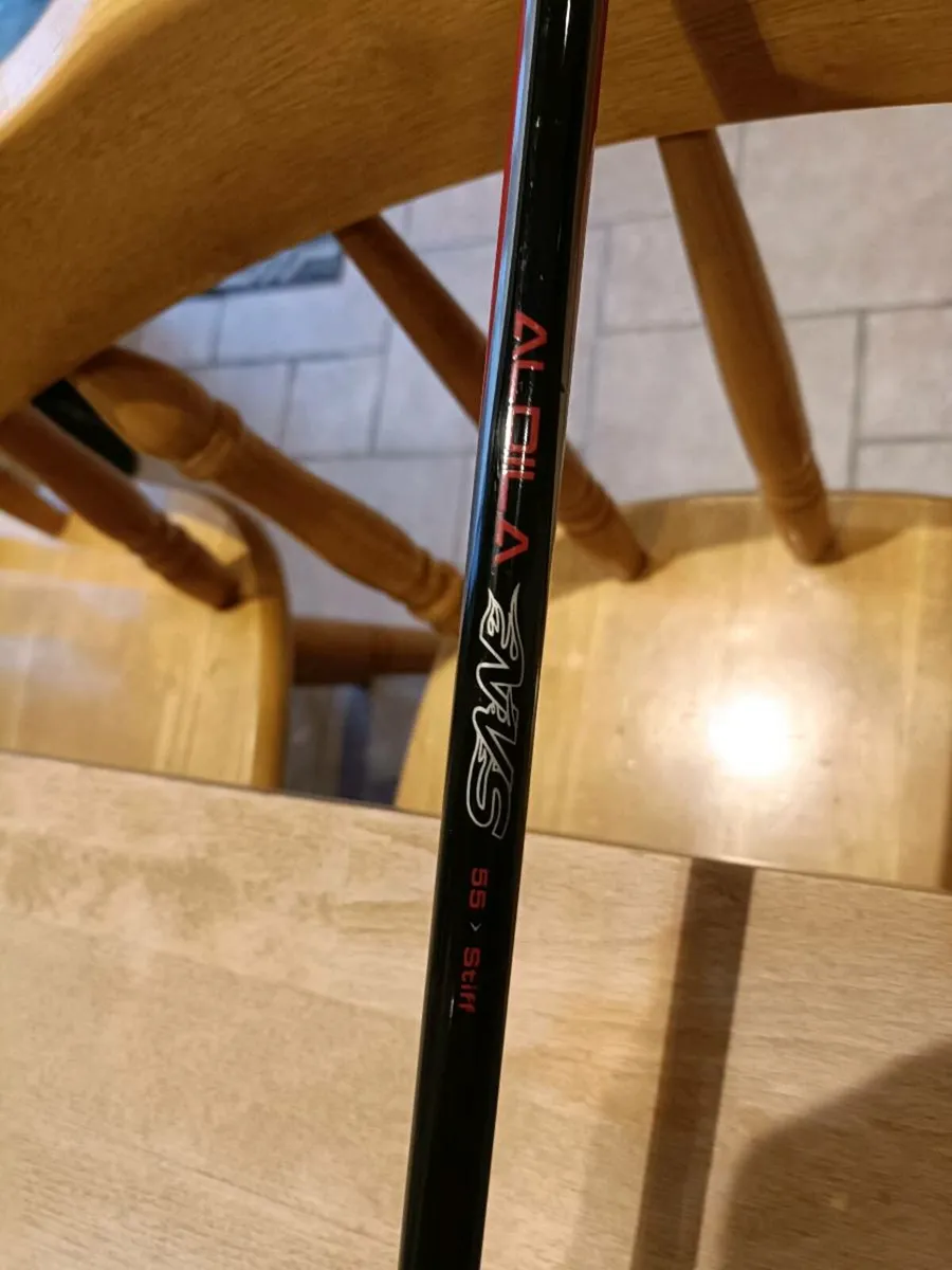 Big Bertha Driver 460 - Image 2