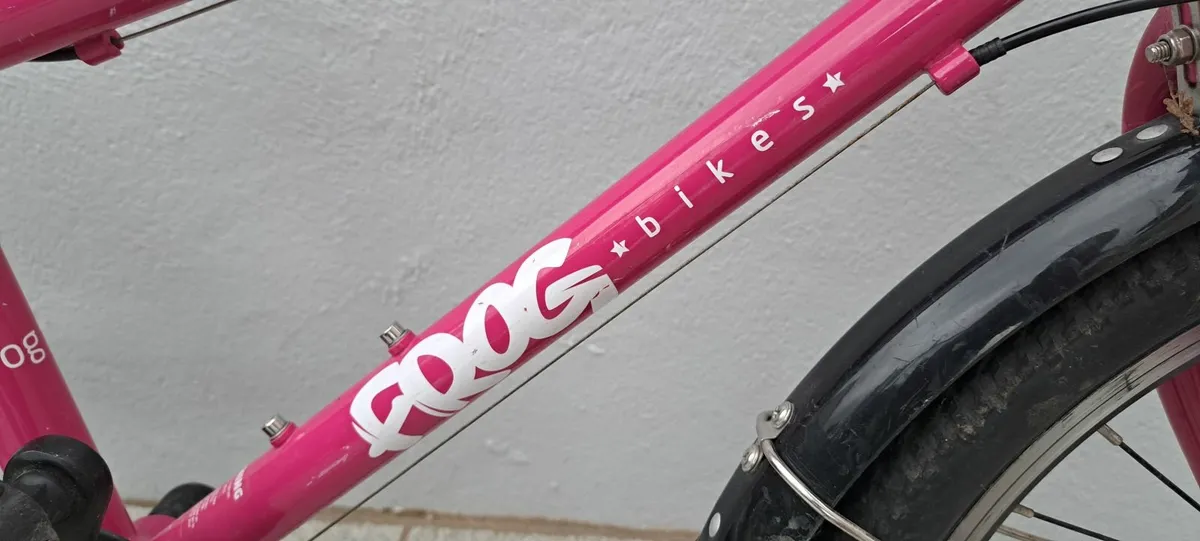 Frog 55 bicycle - Image 2