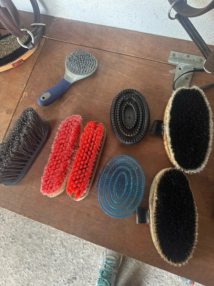 Grooming brushes