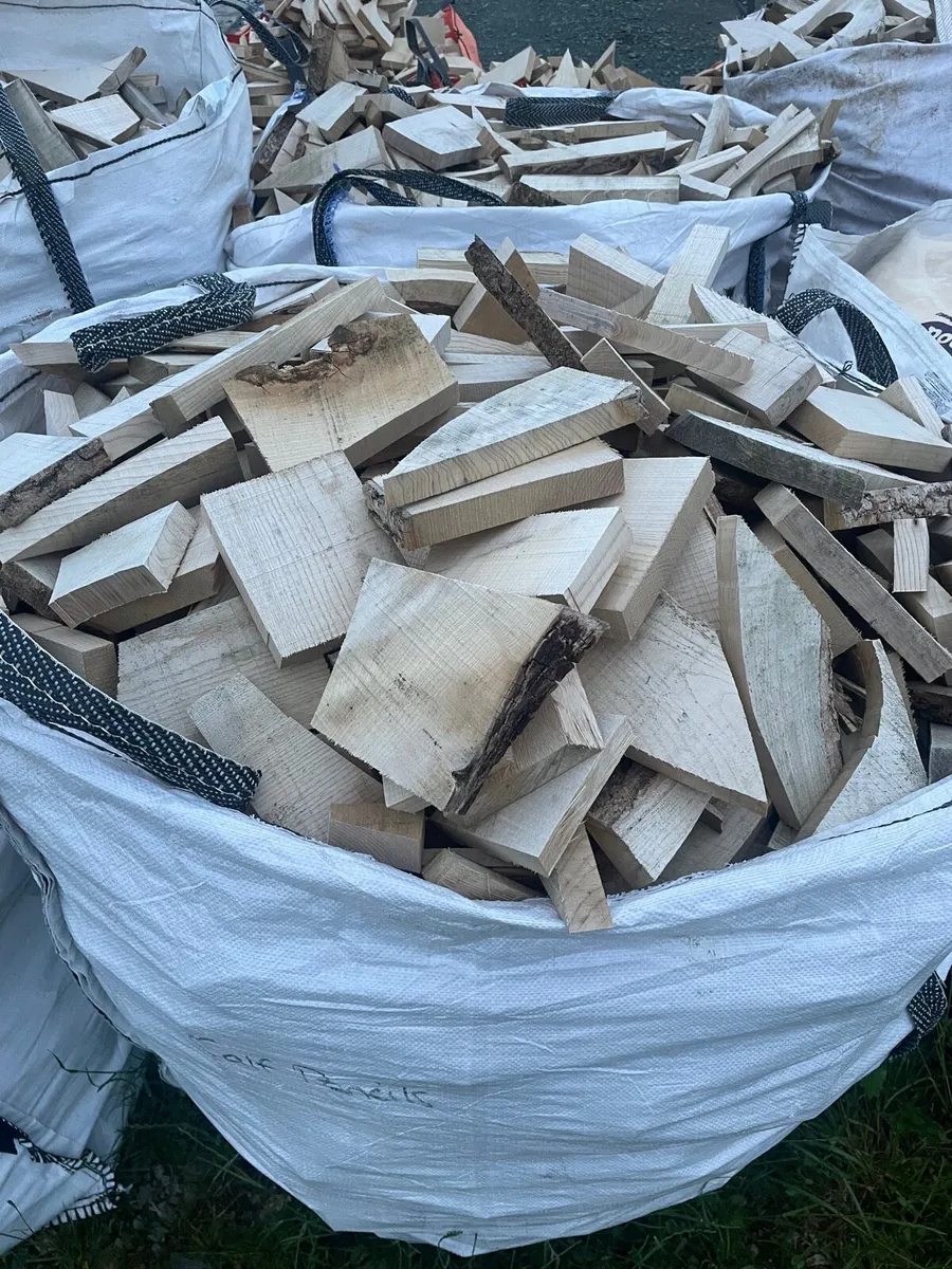Ash fire wood - Image 2
