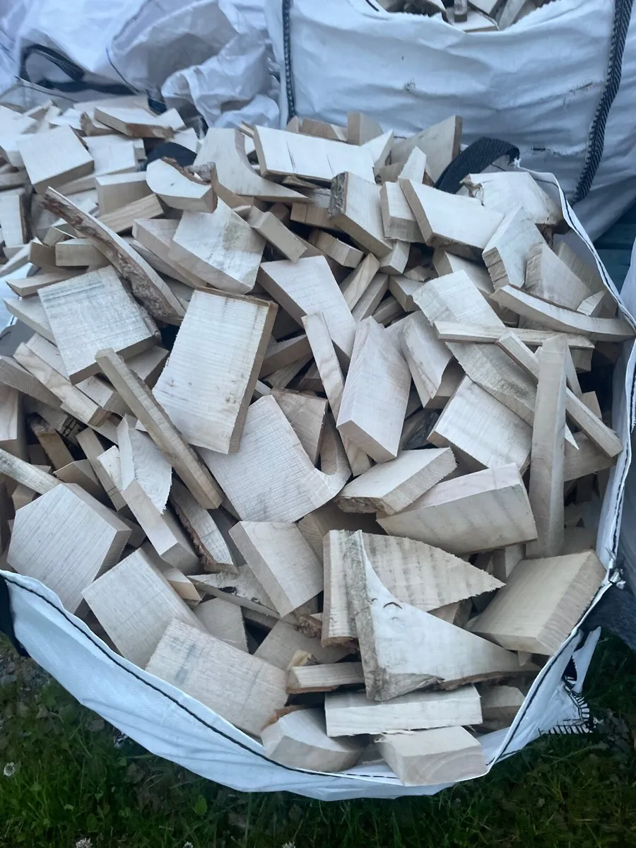Ash fire wood - Image 4