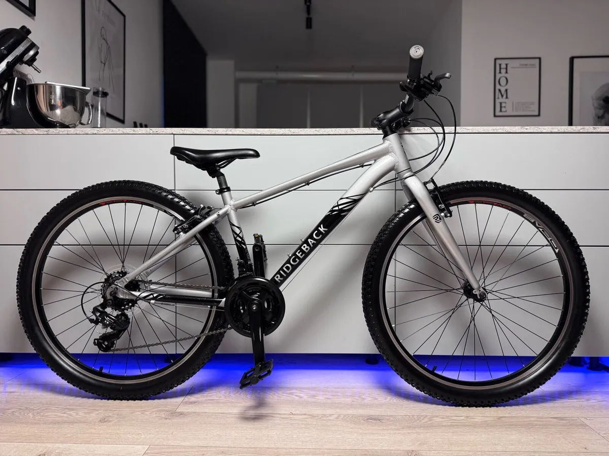 Ridgeback Terrain 1 Bike - Image 1