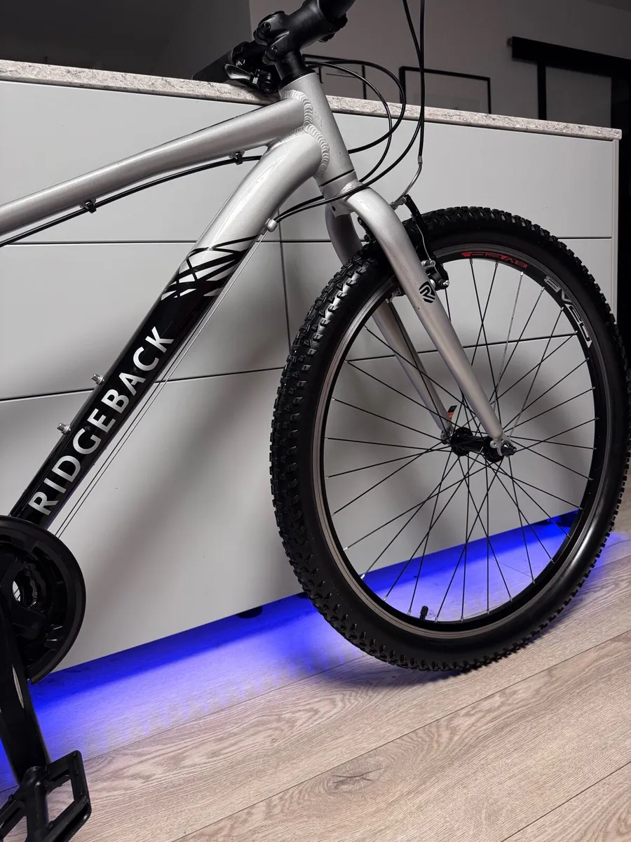 Ridgeback Terrain 1 Bike - Image 3