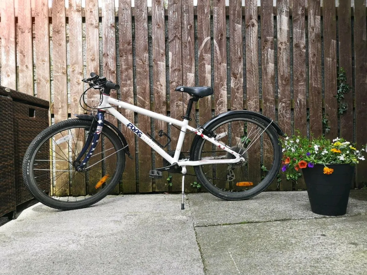 Frog Bike 62 - Image 2