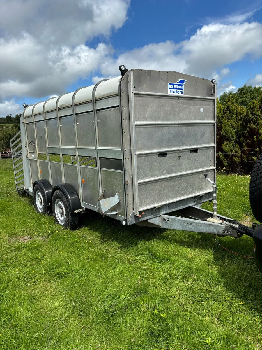 Ifor Williams 12x6 cattle box - Image 1