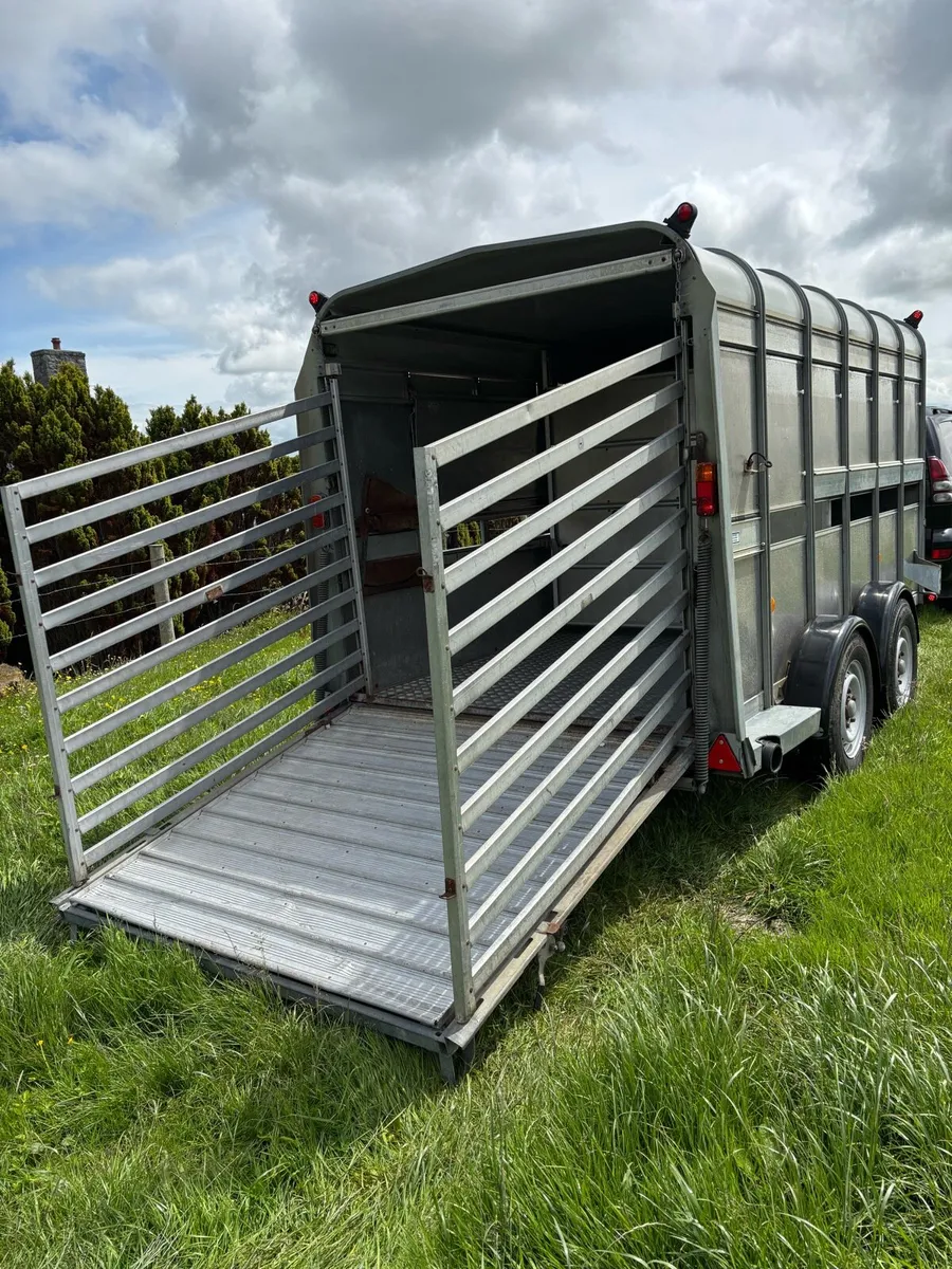 Ifor Williams 12x6 cattle box - Image 2