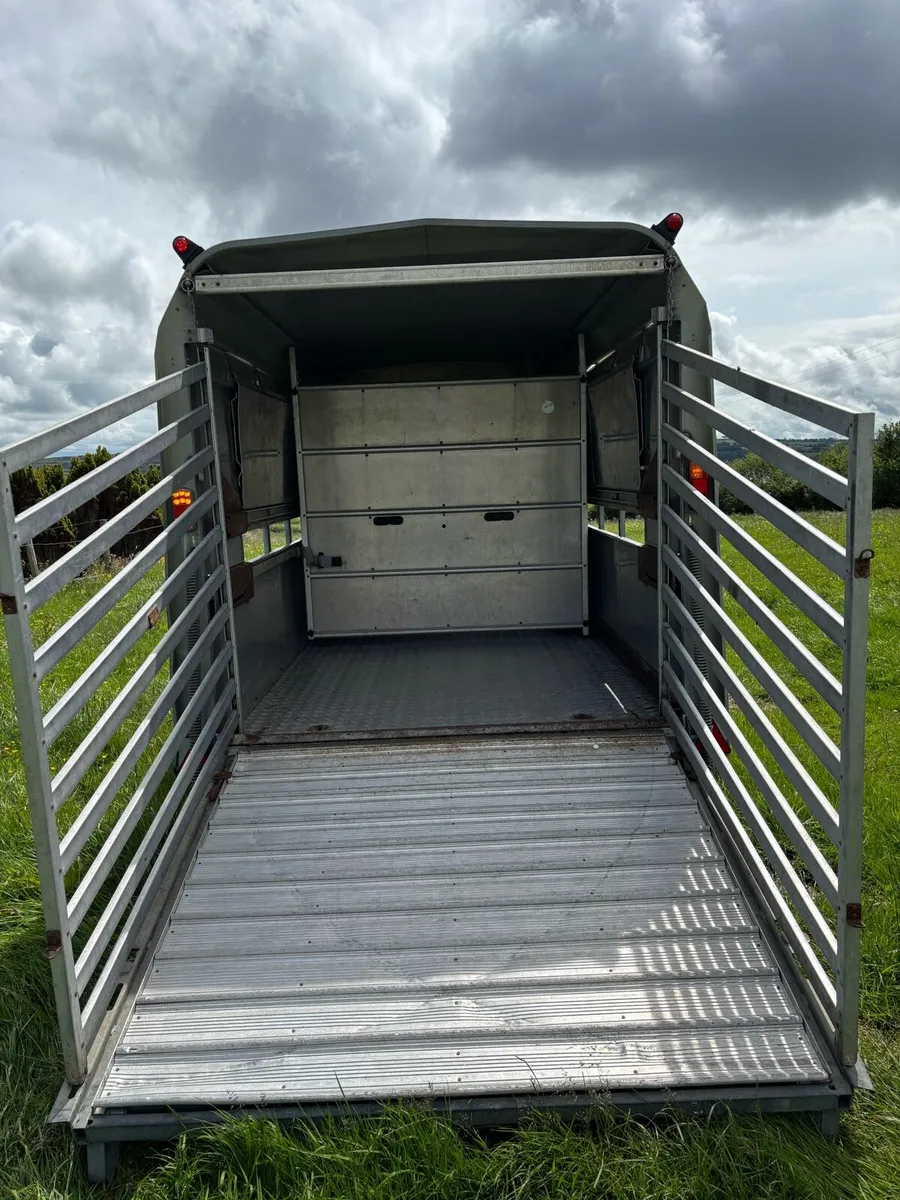 Ifor Williams 12x6 cattle box - Image 3