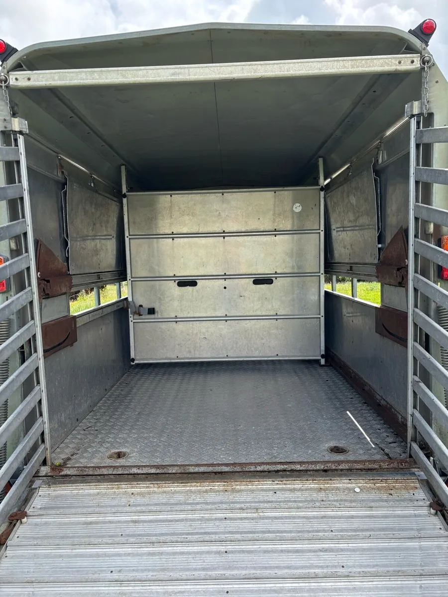 Ifor Williams 12x6 cattle box - Image 4