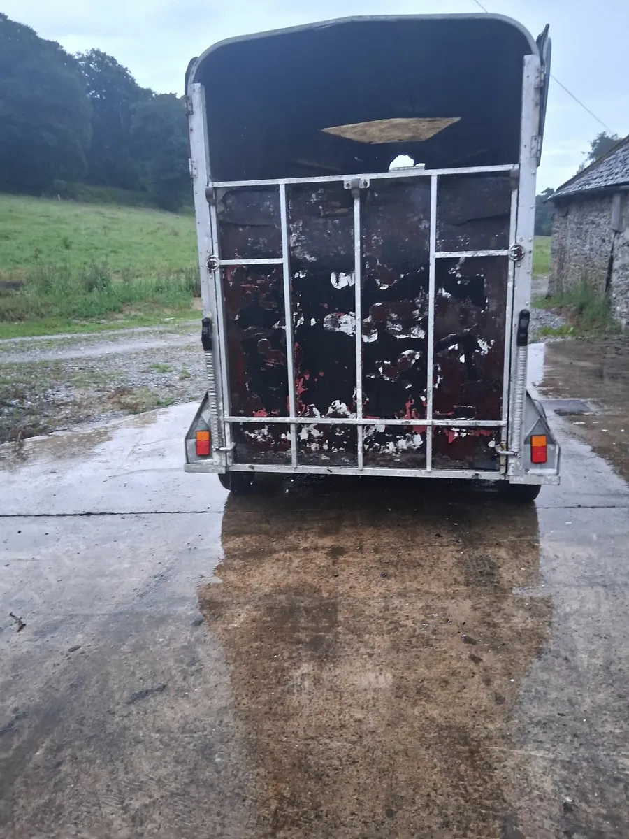 4 Trailer - Image 4