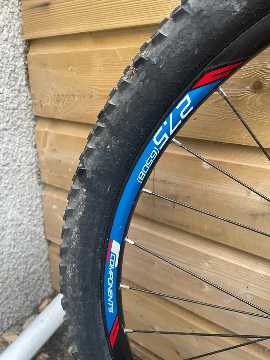 Carrera Kraken - Image 4