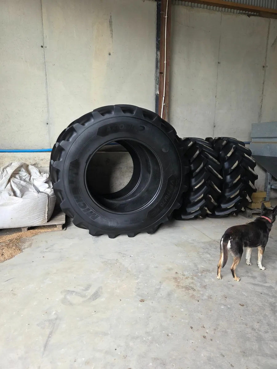 NO VAT Michelin Axiobib 2 710 70 R42 600 70 R 30 s - Image 1