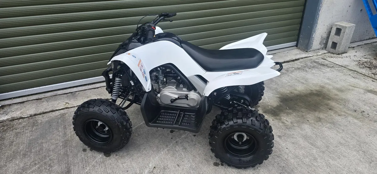 Yamaha YFM 110 Raptor Quad - Image 1