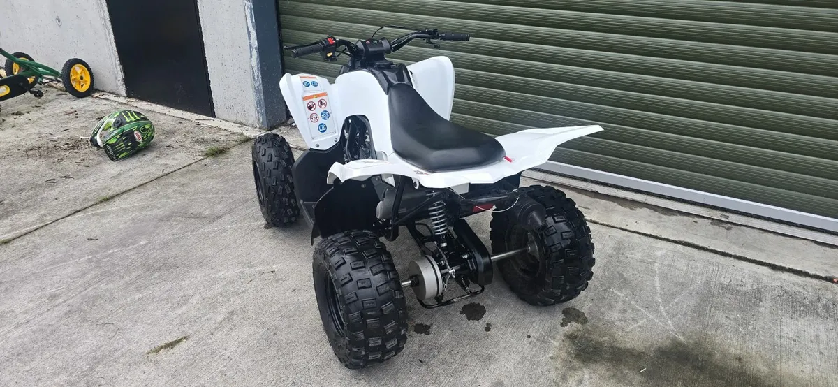 Yamaha YFM 110 Raptor Quad - Image 3