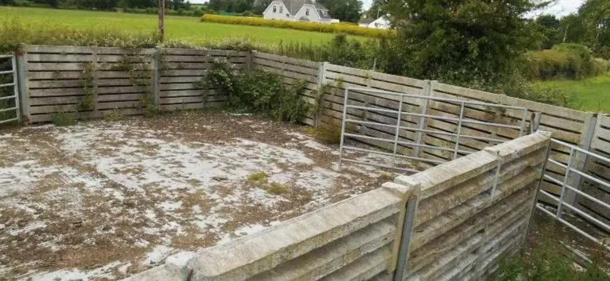 Cattle slats - Image 2