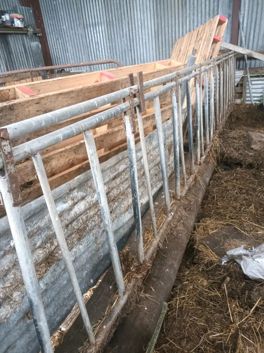 Locking Feed barriers(×2)