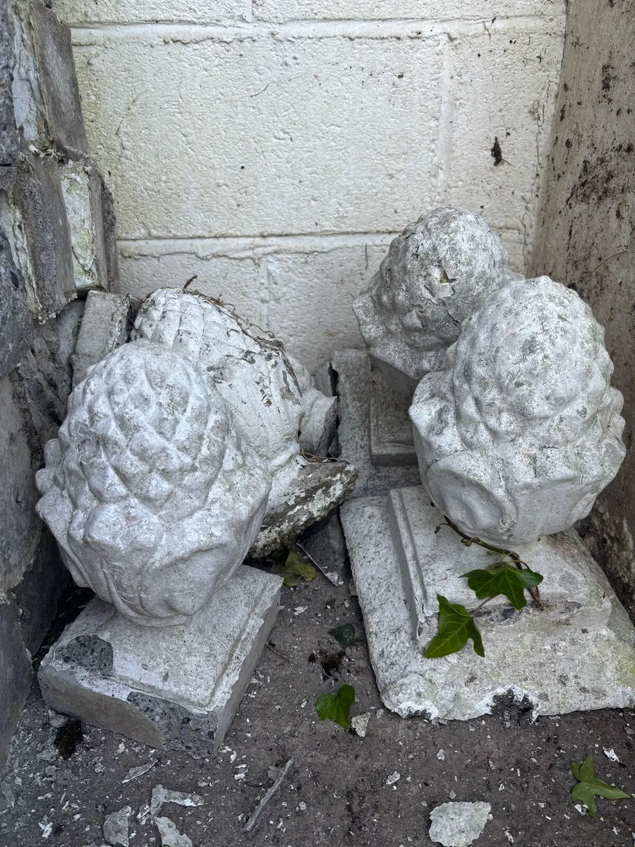 Garden Railing Balstruades - Image 2