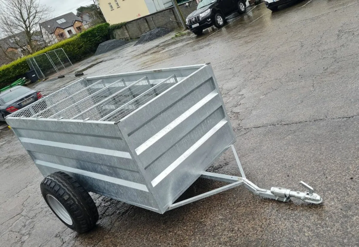 Trolley with Pneumatic Tyres - Image 4