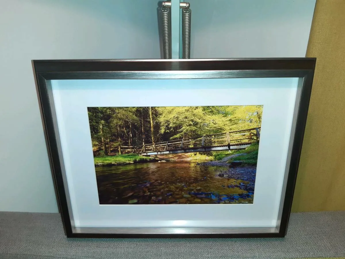 Curragh Woods, Co.Cork - Image 2