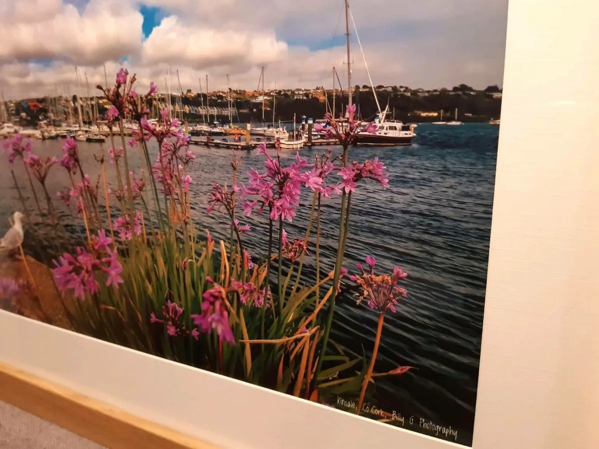 Kinsale - Image 2