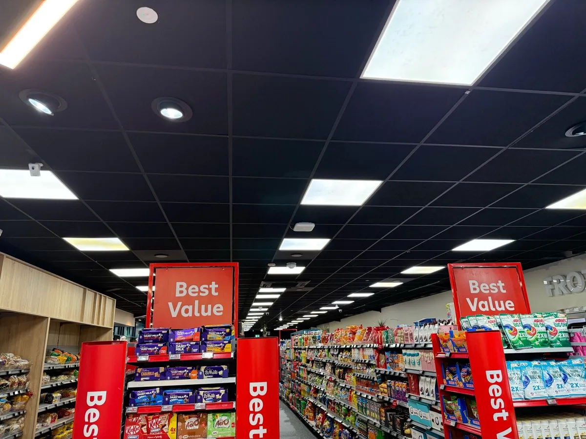 Ceiling lights