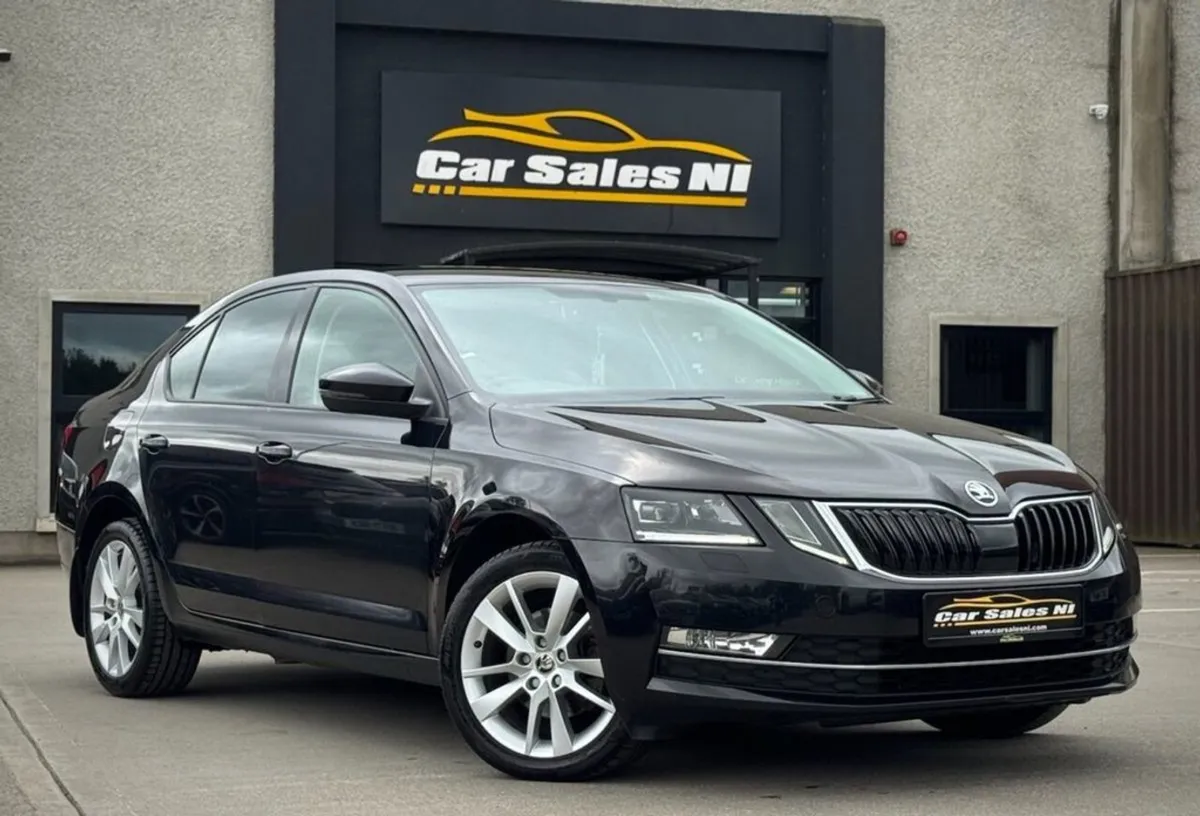 Skoda Octavia 2.0 TDI SE L Hatchback 5dr Diesel M - Image 1