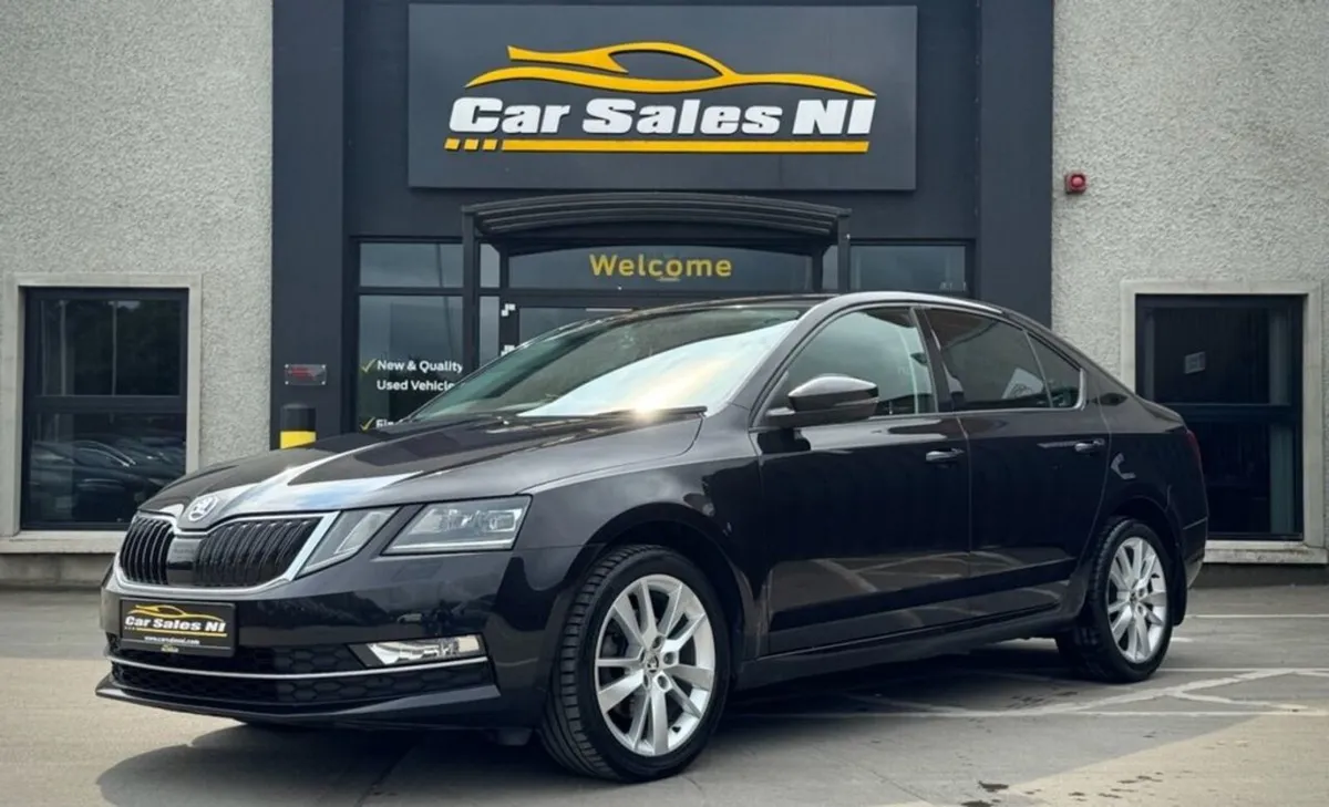 Skoda Octavia 2.0 TDI SE L Hatchback 5dr Diesel M - Image 3