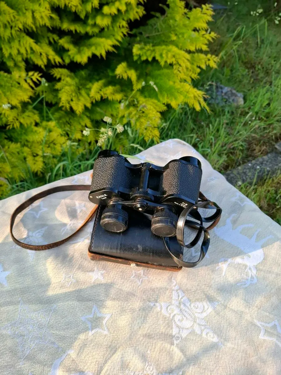 Binoculars in box postage possible - Image 1