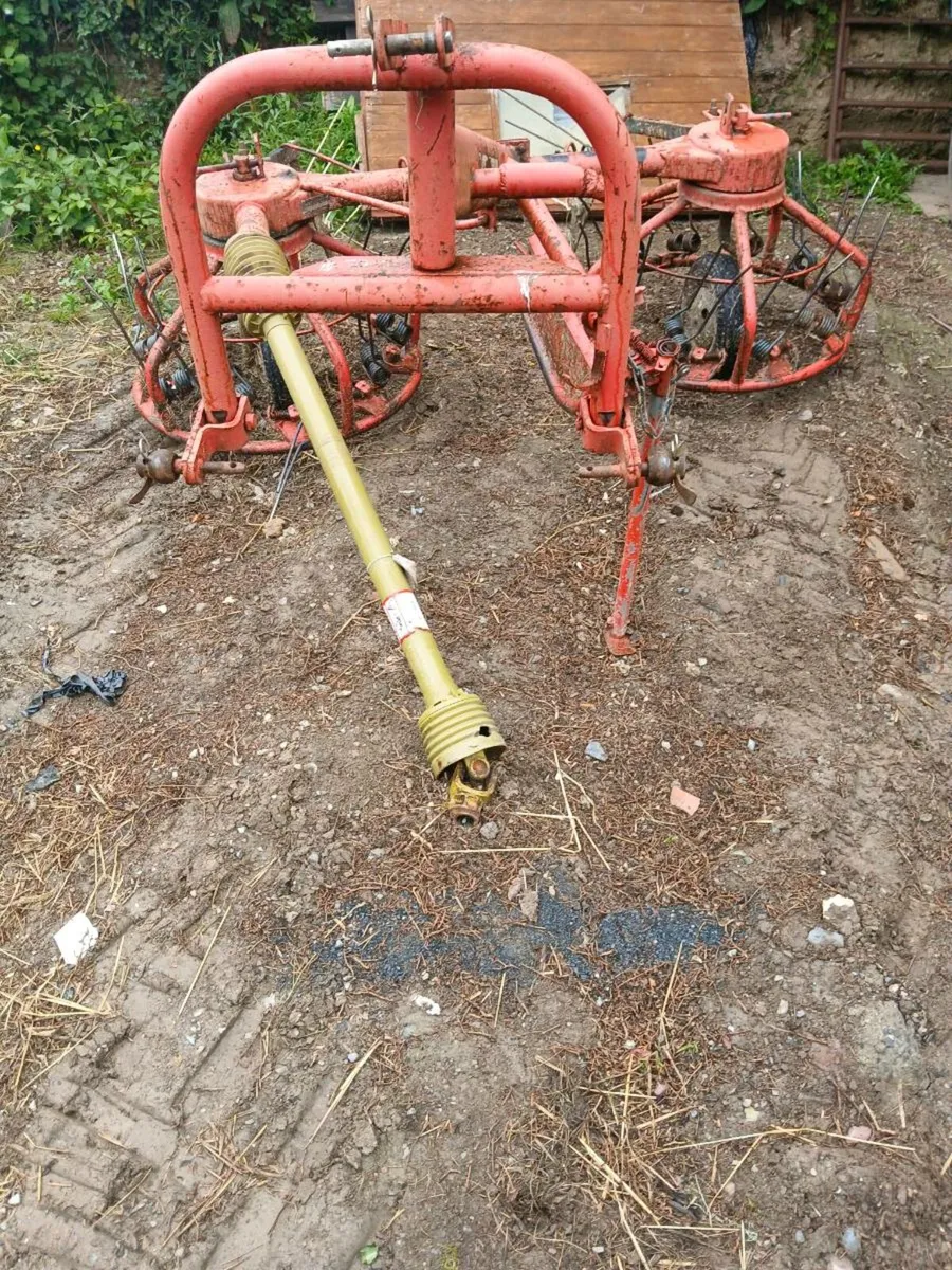 Pz haybob - Image 3