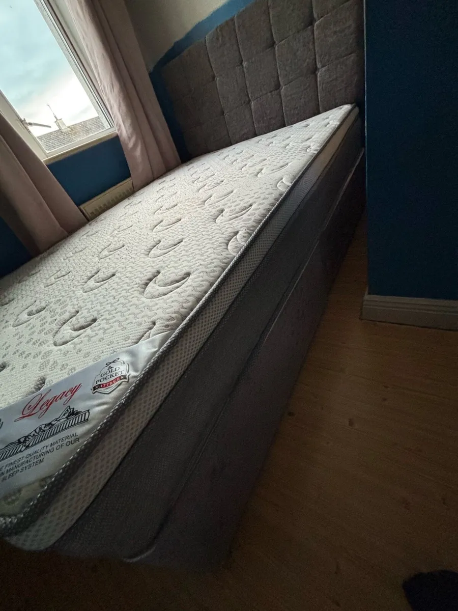 Crush velvet bed - Image 2