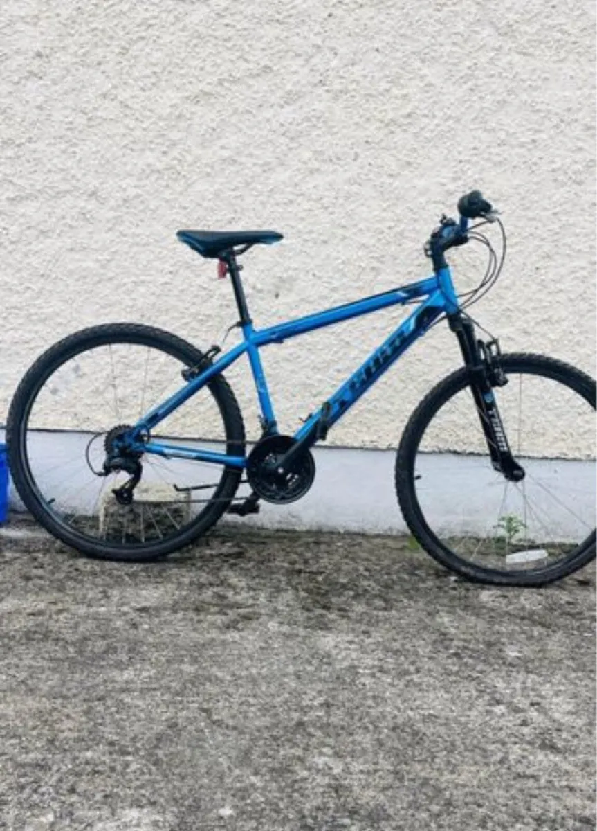Adult bike - Image 1