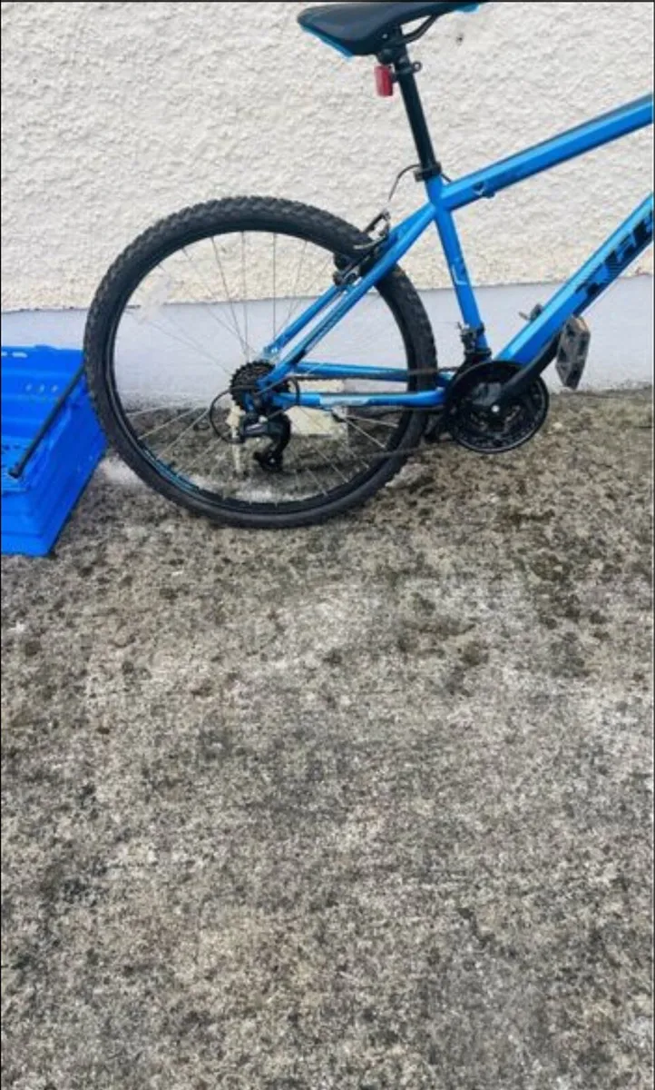 Adult bike - Image 2
