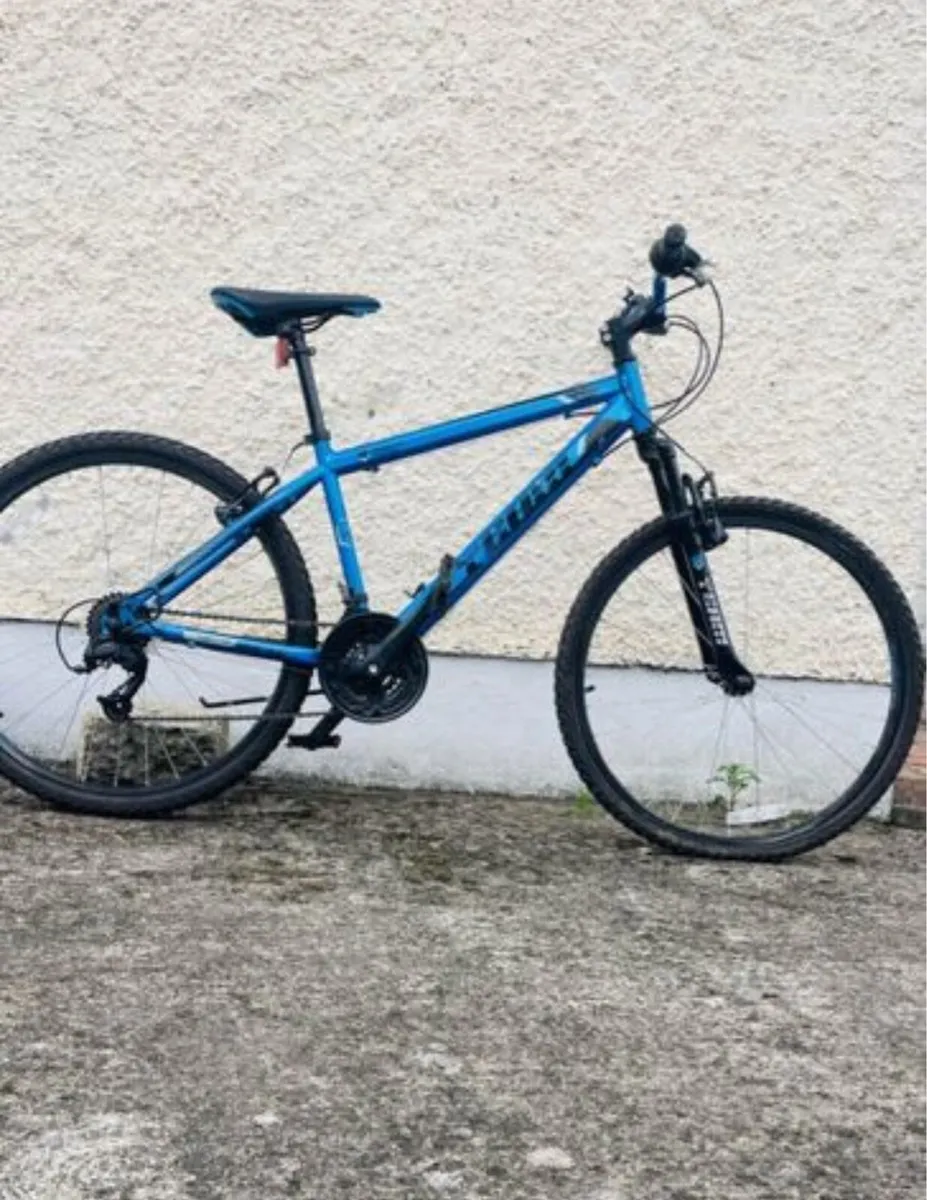 Adult bike - Image 3