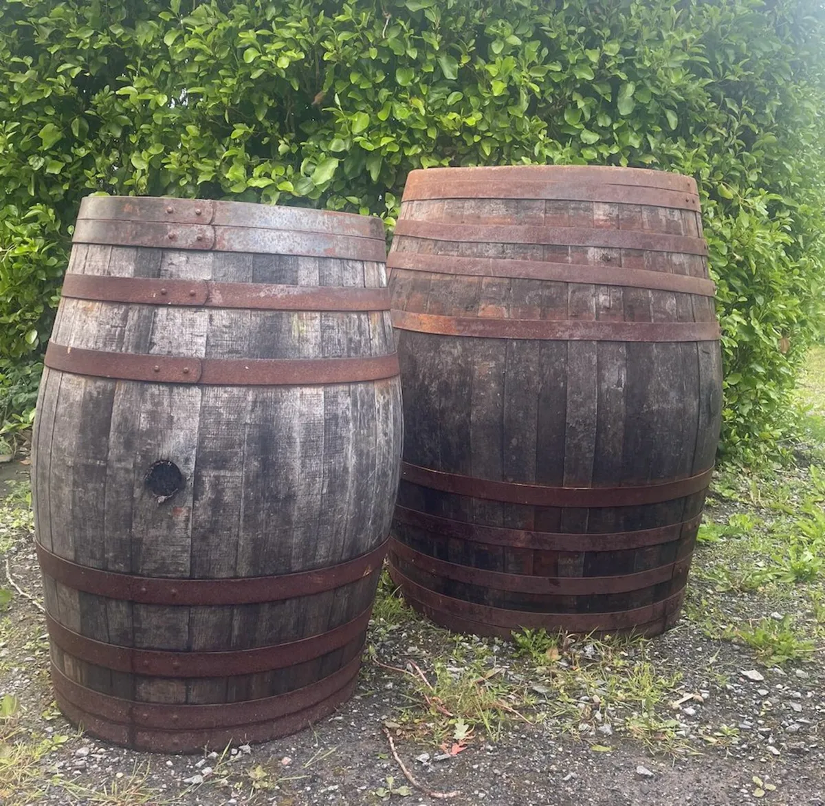 Two Whiskey Barrels (ice baths or seaweed baths) - Image 2