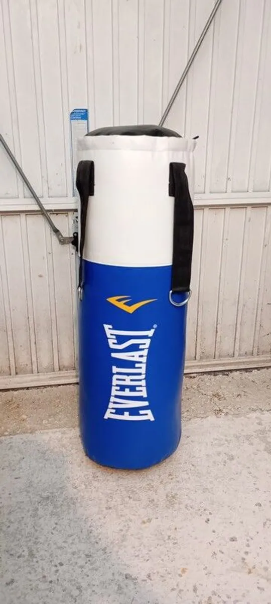 PRICE DROP: Boxing bag, with bracket and gloves included - Image 1