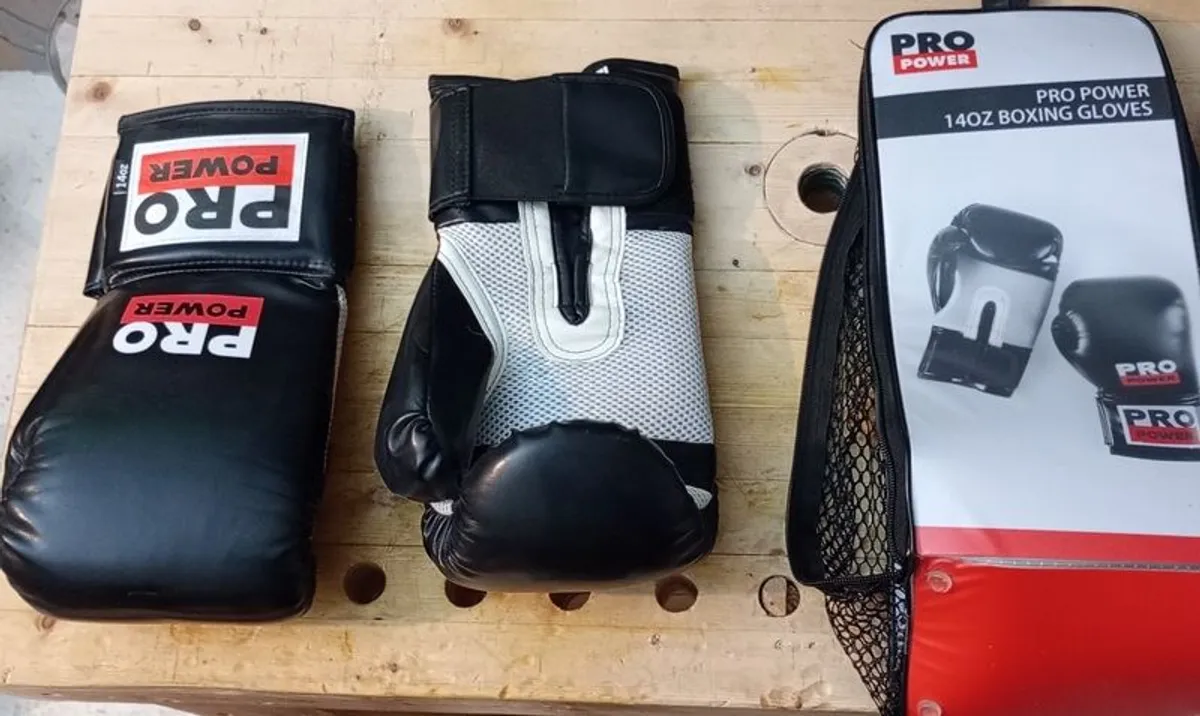 PRICE DROP: Boxing bag, with bracket and gloves included - Image 3
