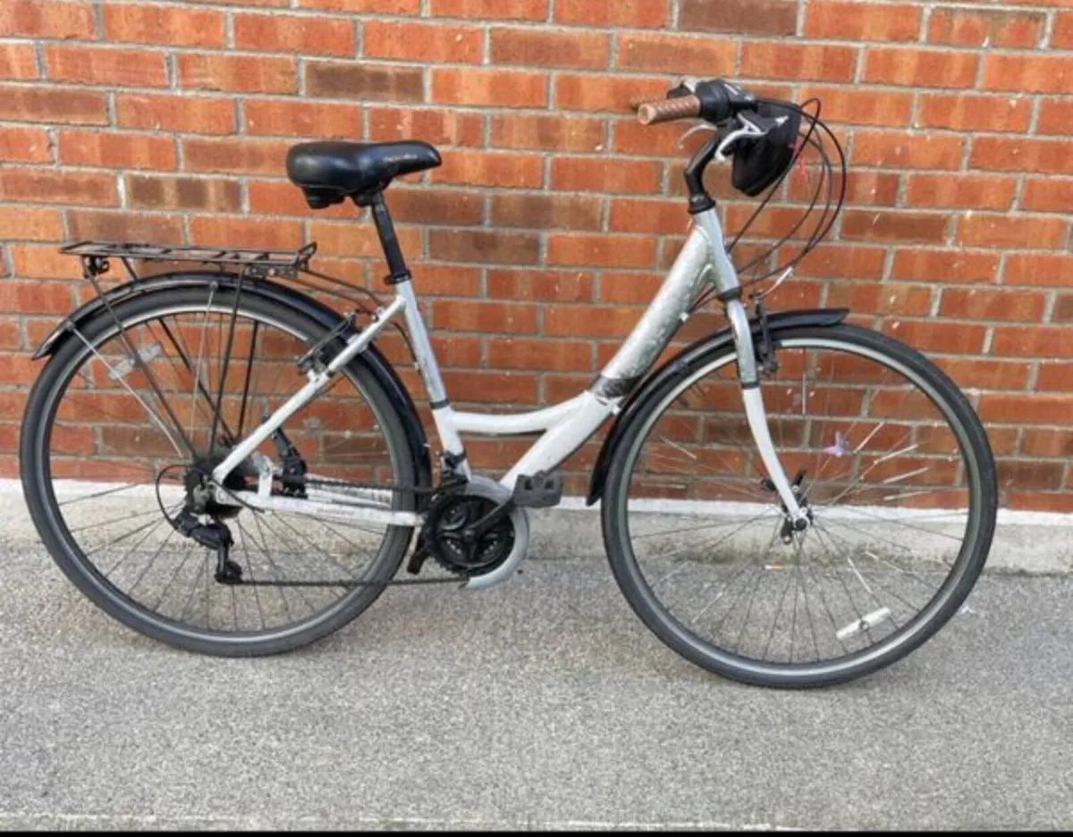 Adult Bike - Image 1