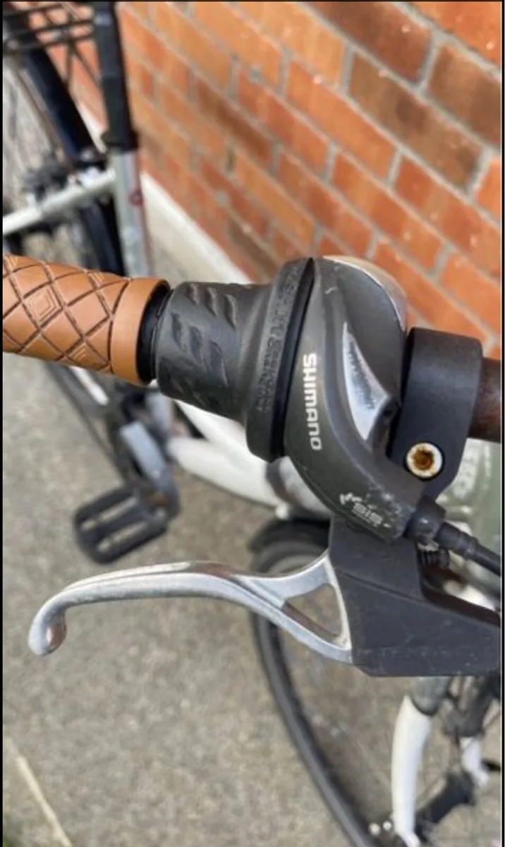 Adult Bike - Image 4