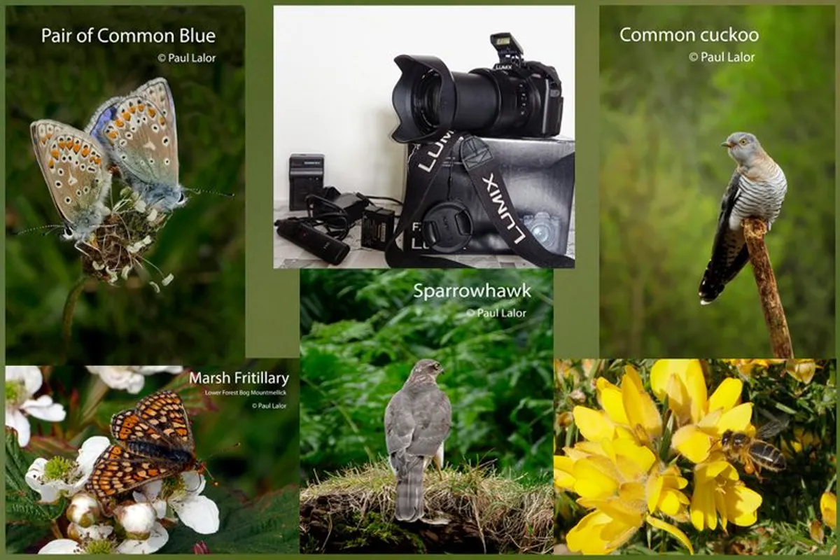 Camera for sale