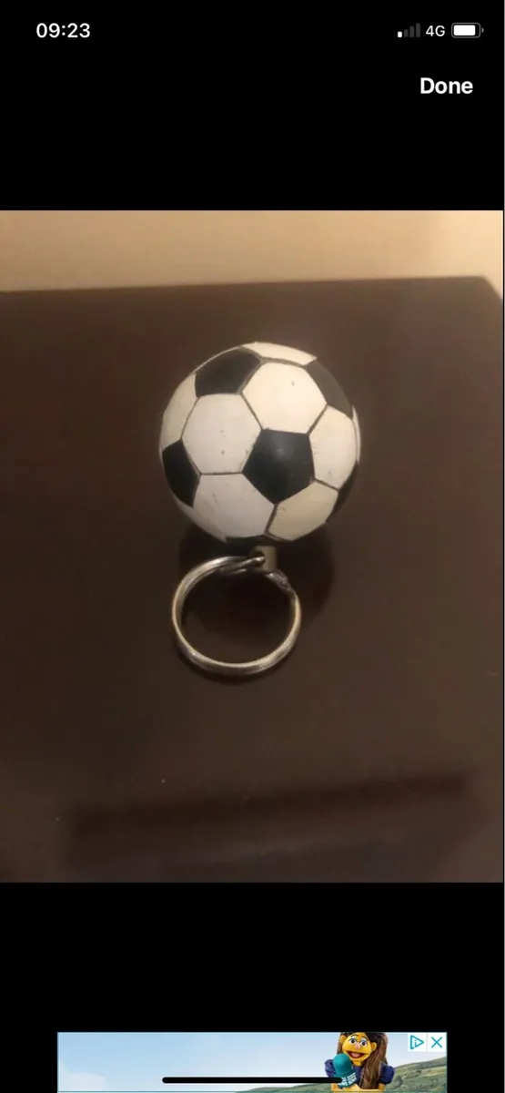 Novelty Key Rings - Image 4