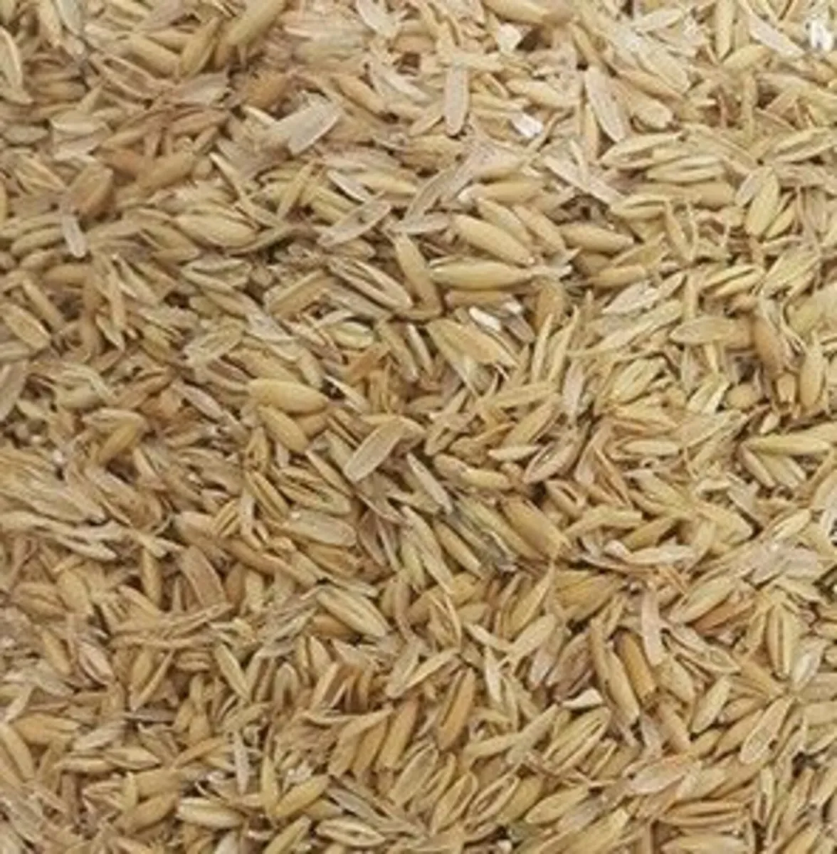Oat Hulls - Image 2