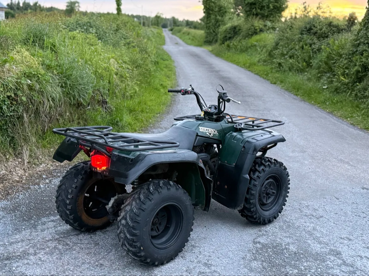 Yamaha big bear 350cc quad  2005 DELIVERY AVAIL - Image 3